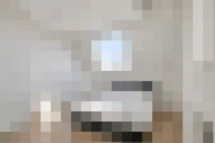 Vroege van Tol 13 Huissen thumbnail 24