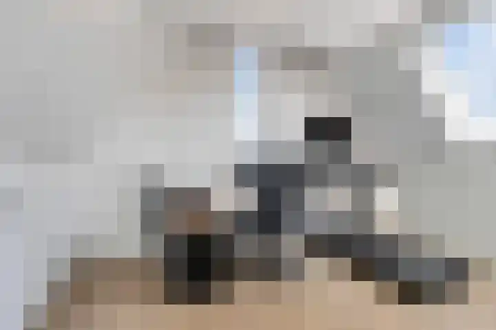 Vroege van Tol 13 Huissen thumbnail 25