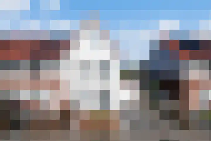 Vroege van Tol 13 Huissen thumbnail 26