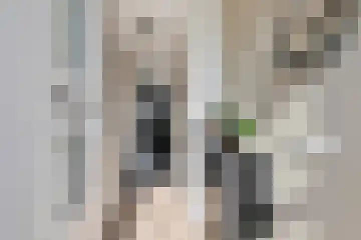 Vroege van Tol 13 Huissen thumbnail 5