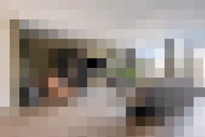 Vroege van Tol 13 Huissen thumbnail 6