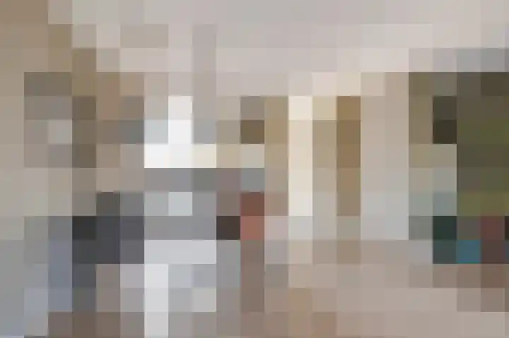 Vroege van Tol 13 Huissen thumbnail 7