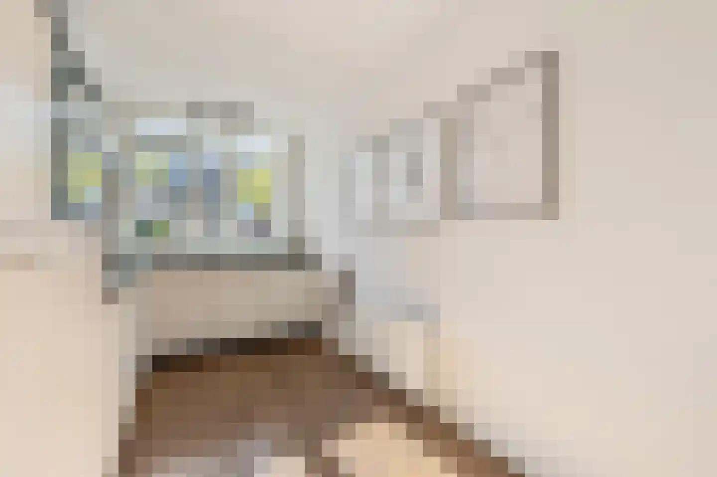 Vroege van Tol 17 Huissen thumbnail 11