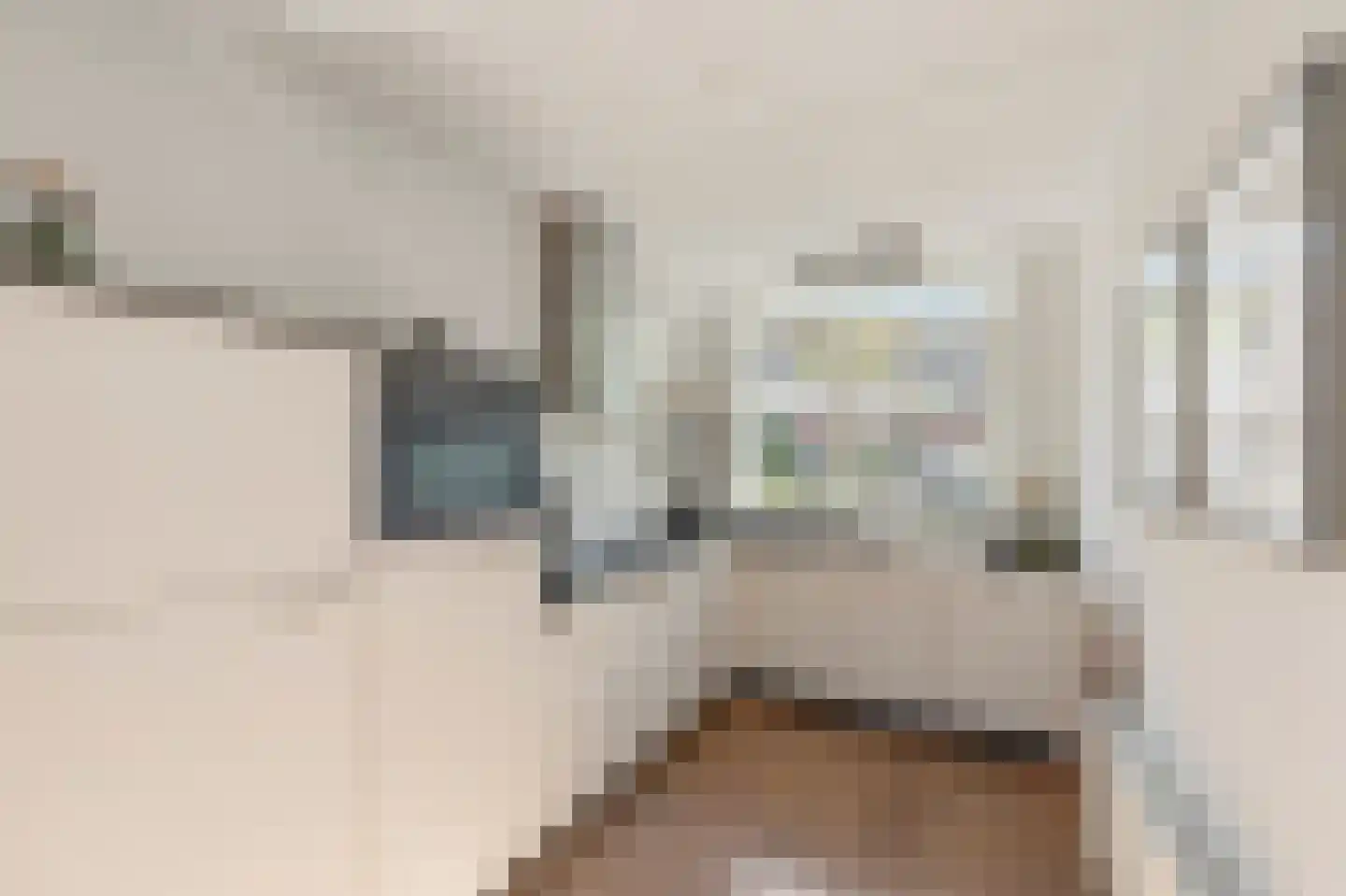 Vroege van Tol 17 Huissen thumbnail 12