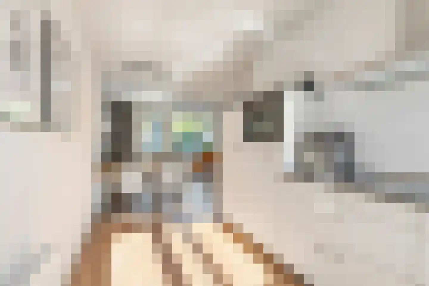 Vroege van Tol 17 Huissen thumbnail 13