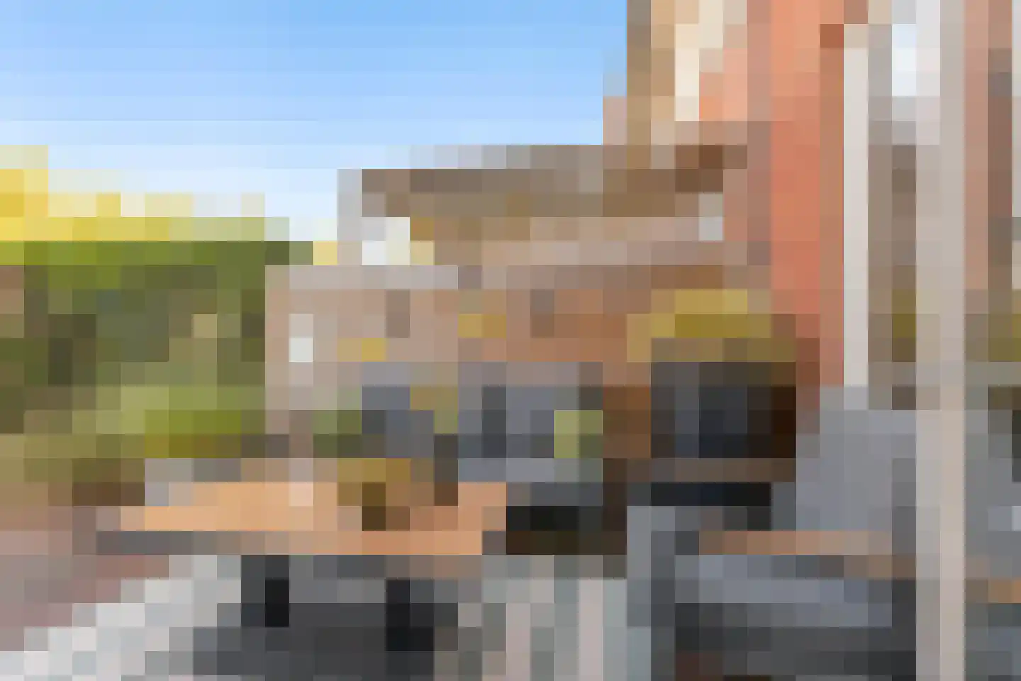 Vroege van Tol 17 Huissen thumbnail 15