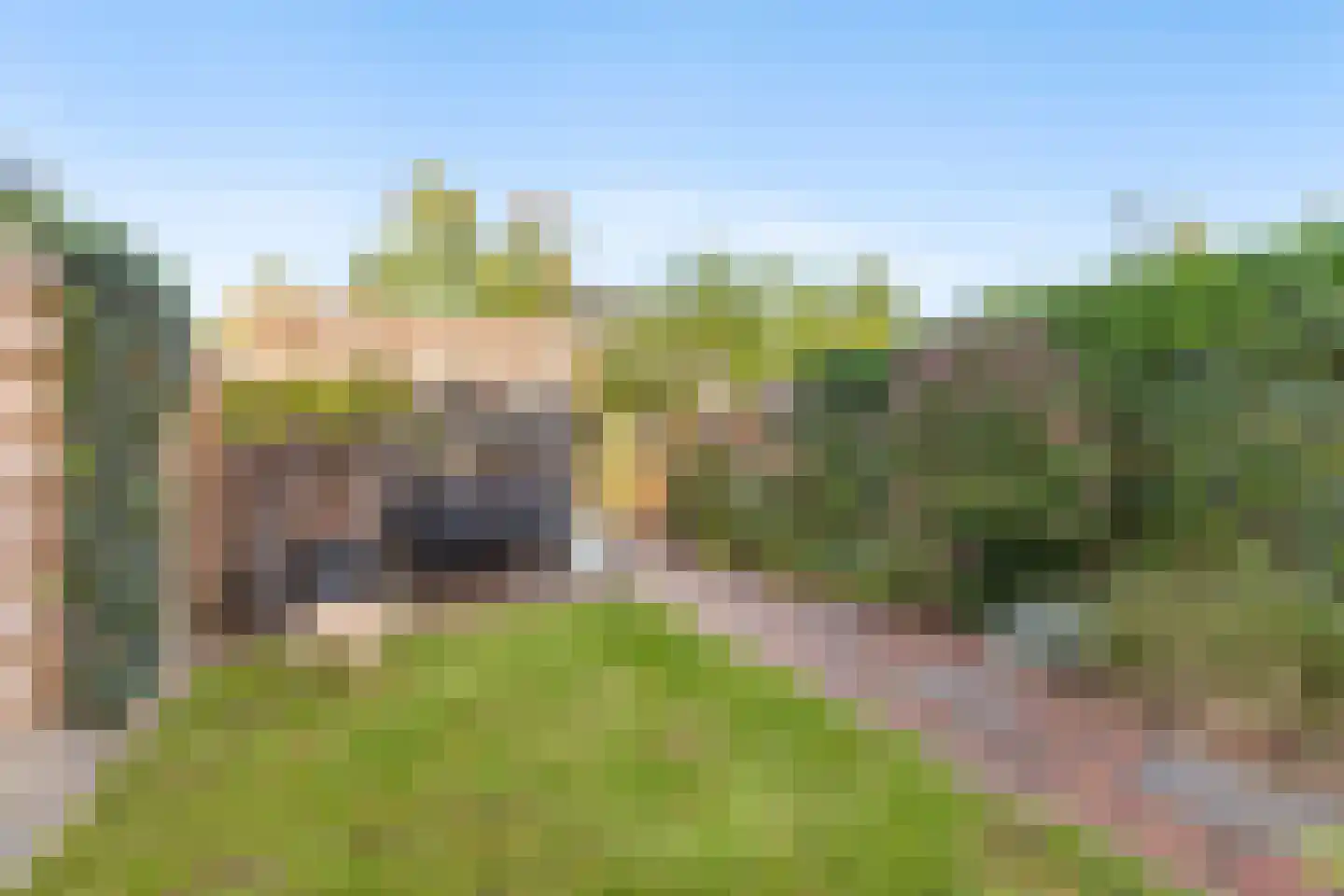 Vroege van Tol 17 Huissen thumbnail 16