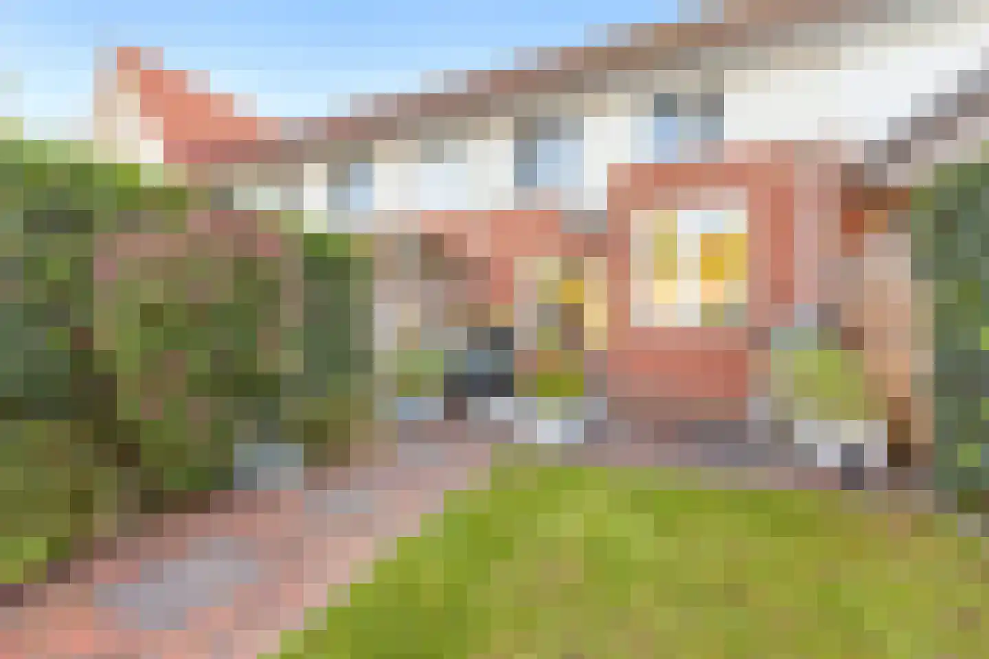 Vroege van Tol 17 Huissen thumbnail 18