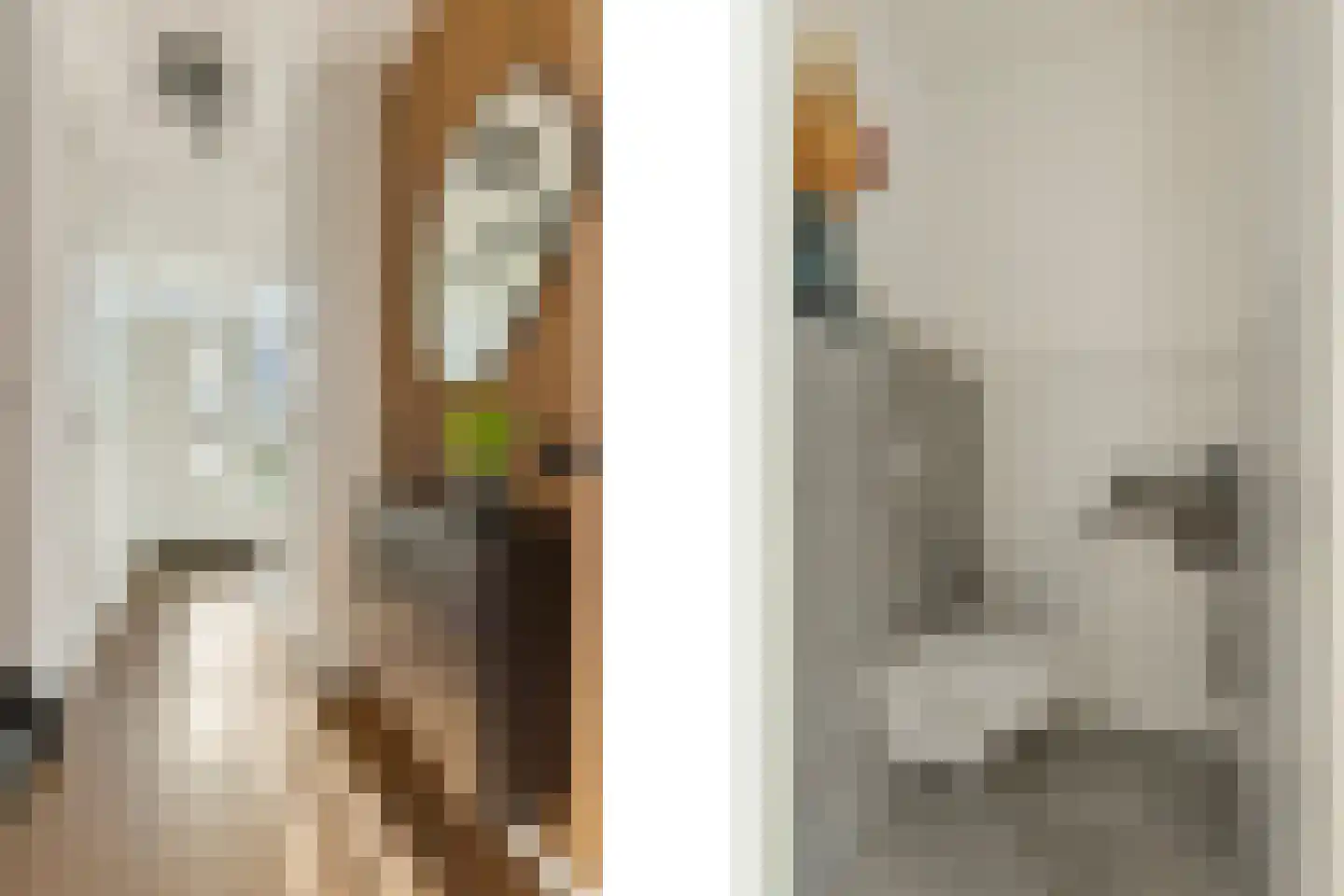 Vroege van Tol 17 Huissen thumbnail 19