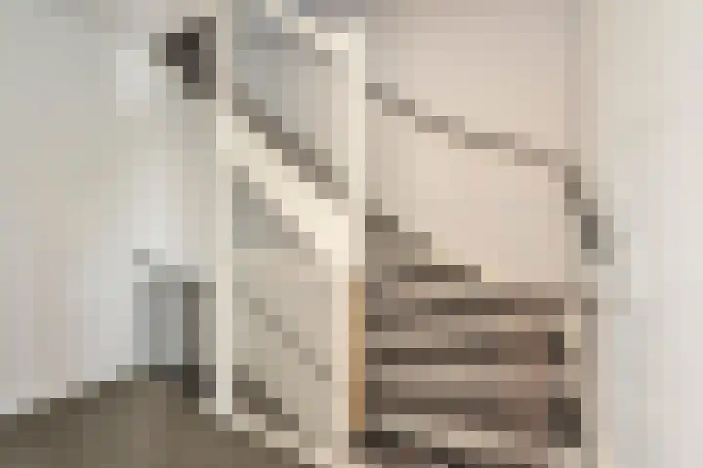 Vroege van Tol 17 Huissen thumbnail 26