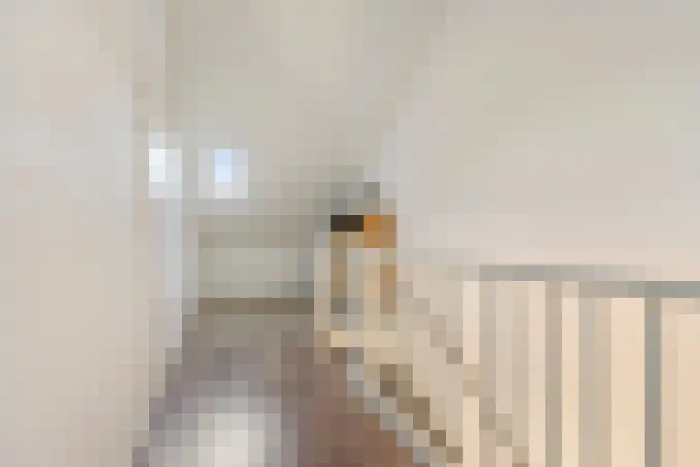 Vroege van Tol 17 Huissen thumbnail 27