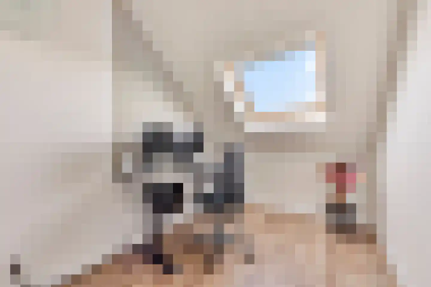 Vroege van Tol 17 Huissen thumbnail 31