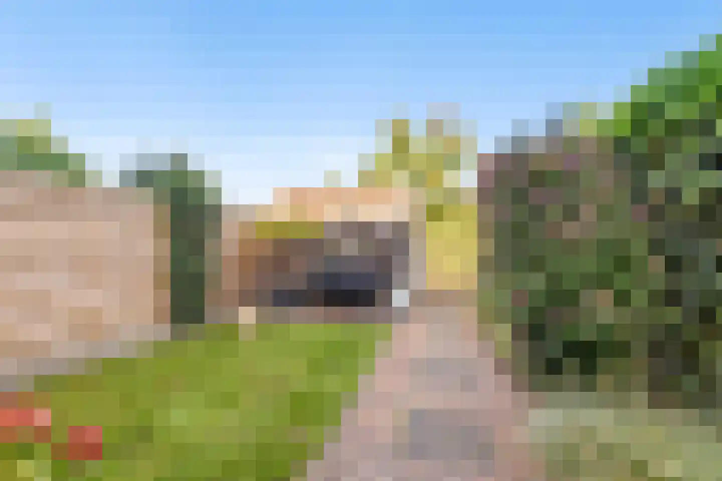 Vroege van Tol 17 Huissen thumbnail 4