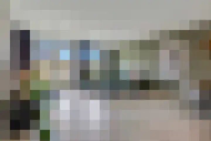 Vroege van Tol 45 Huissen thumbnail 10