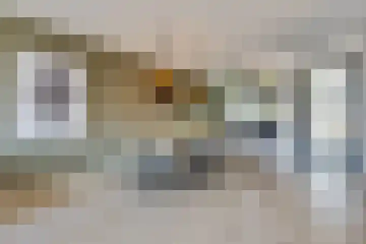 Vroege van Tol 45 Huissen thumbnail 13