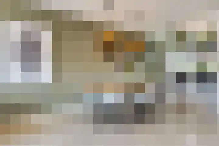 Vroege van Tol 45 Huissen thumbnail 15