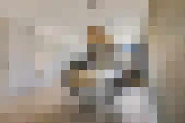 Vroege van Tol 45 Huissen thumbnail 16