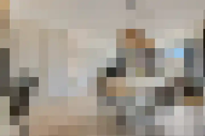 Vroege van Tol 45 Huissen thumbnail 17