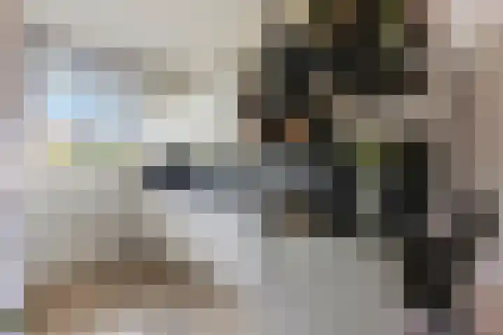 Vroege van Tol 45 Huissen thumbnail 18