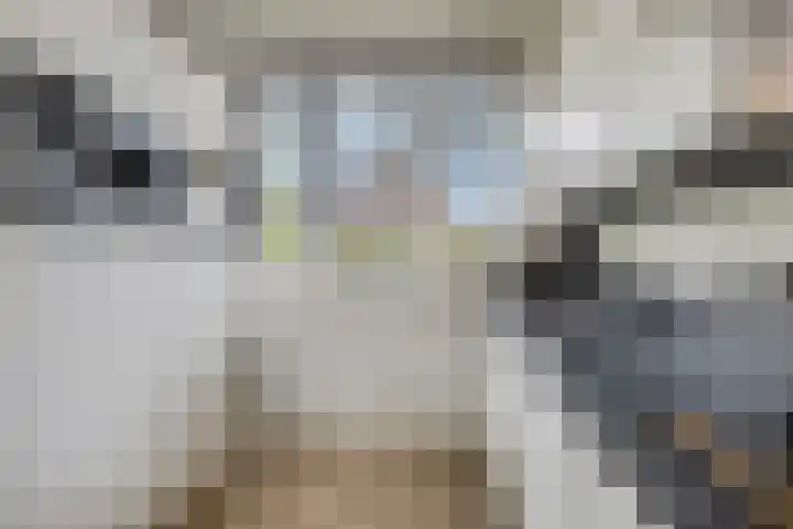 Vroege van Tol 45 Huissen thumbnail 20