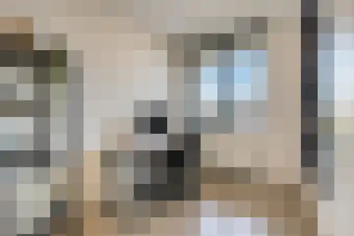 Vroege van Tol 45 Huissen thumbnail 25