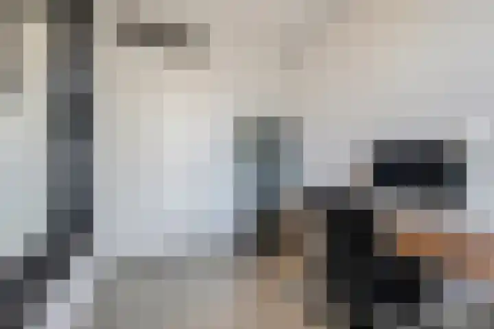 Vroege van Tol 45 Huissen thumbnail 26