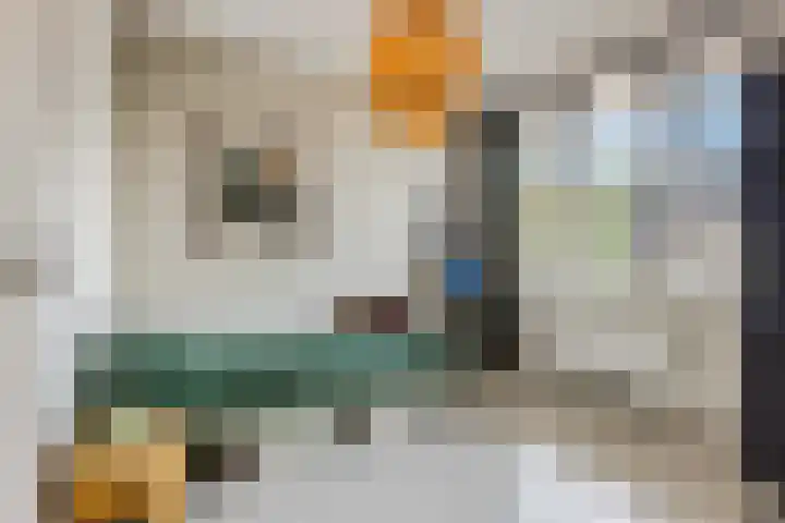 Vroege van Tol 45 Huissen thumbnail 30