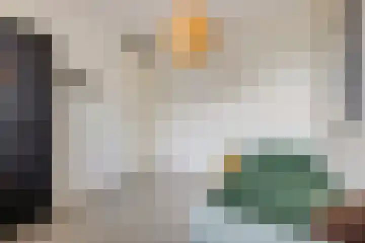 Vroege van Tol 45 Huissen thumbnail 31