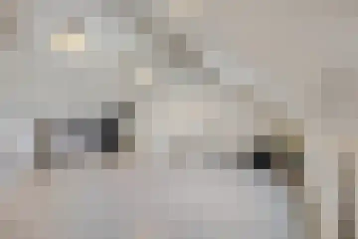 Vroege van Tol 45 Huissen thumbnail 35