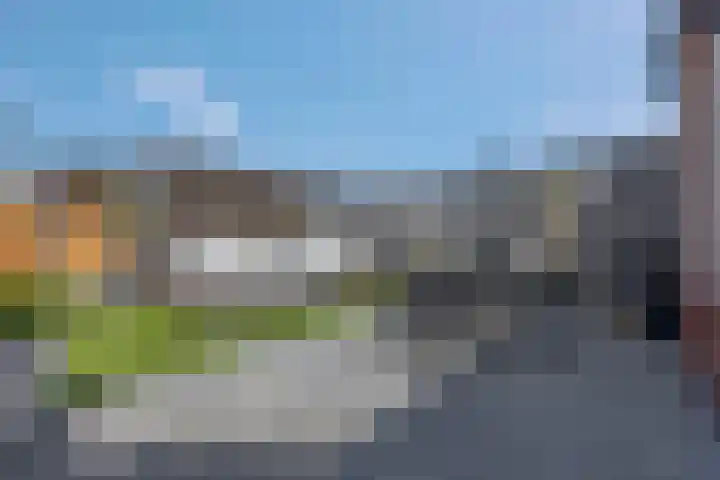 Vroege van Tol 45 Huissen thumbnail 37