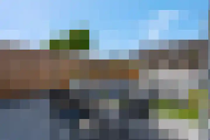 Vroege van Tol 45 Huissen thumbnail 38