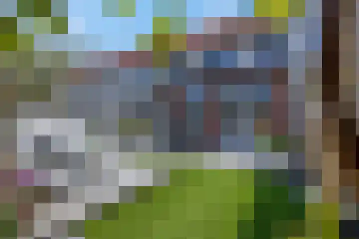 Vroege van Tol 45 Huissen thumbnail 39