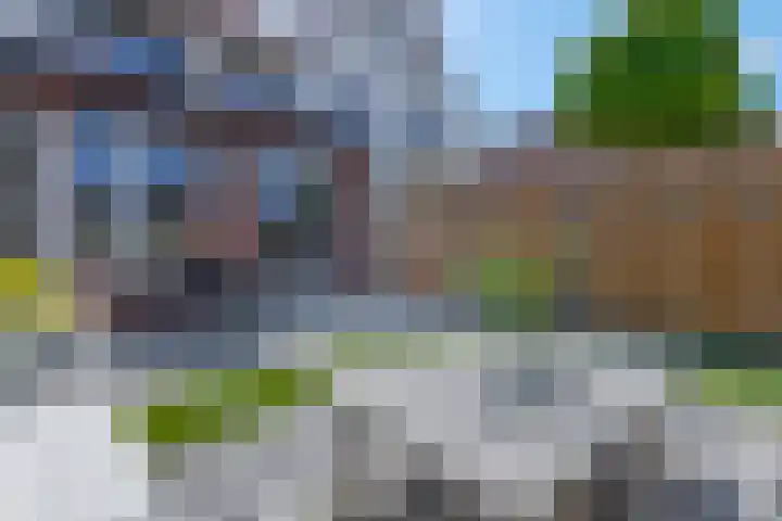 Vroege van Tol 45 Huissen thumbnail 41