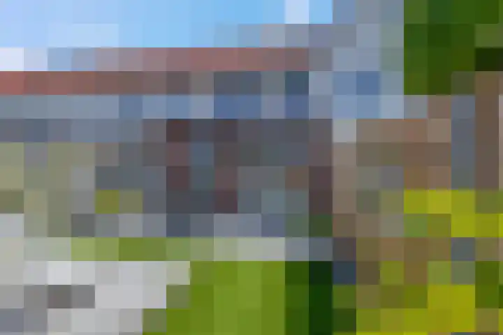 Vroege van Tol 45 Huissen thumbnail 42