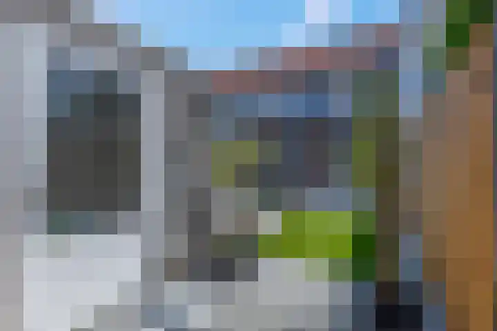 Vroege van Tol 45 Huissen thumbnail 44