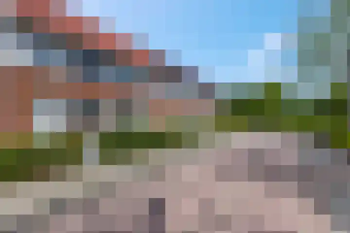 Vroege van Tol 45 Huissen thumbnail 45