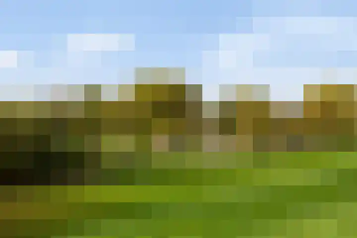 Vroege van Tol 45 Huissen thumbnail 48