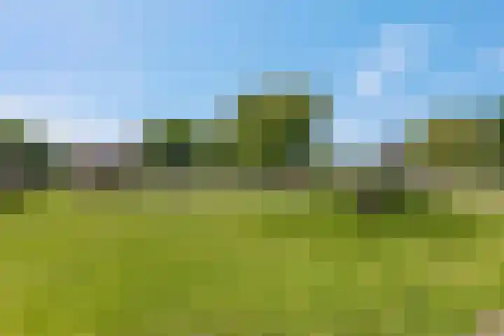 Vroege van Tol 45 Huissen thumbnail 49