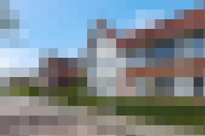 Vroege van Tol 45 Huissen thumbnail 5