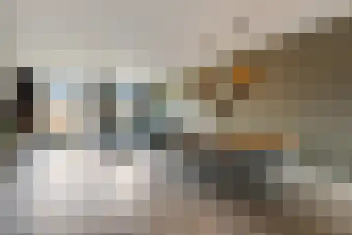 Vroege van Tol 45 Huissen thumbnail 8