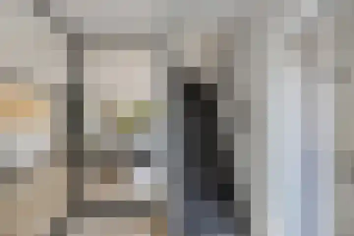 Vroegeling 14 Heemskerk thumbnail 10