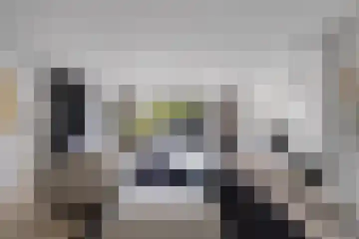 Vroegeling 14 Heemskerk thumbnail 12