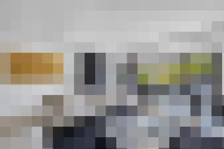 Vroegeling 14 Heemskerk thumbnail 13