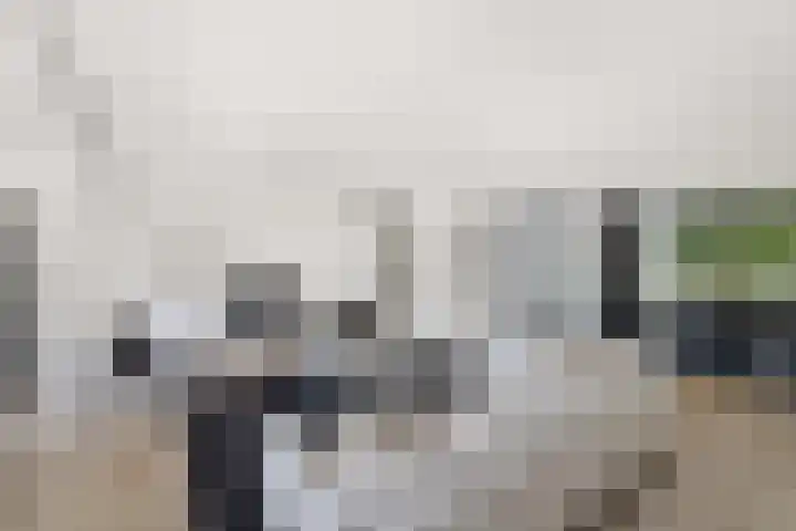 Vroegeling 14 Heemskerk thumbnail 15