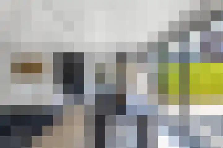 Vroegeling 14 Heemskerk thumbnail 16