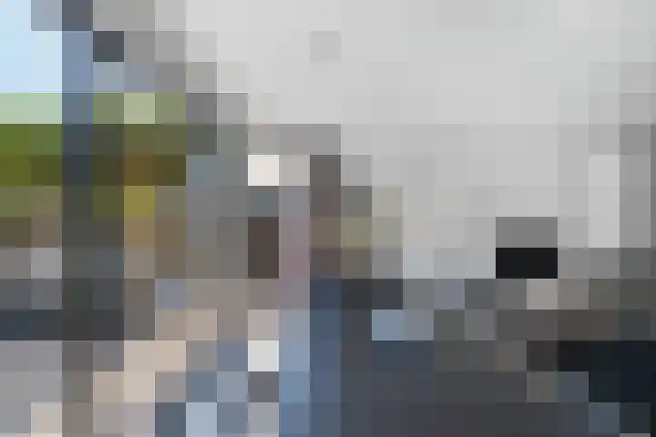 Vroegeling 14 Heemskerk thumbnail 17