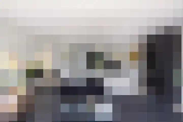 Vroegeling 14 Heemskerk thumbnail 18