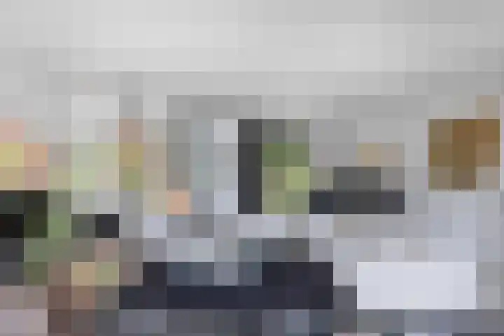 Vroegeling 14 Heemskerk thumbnail 19