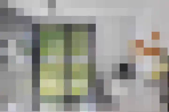 Vroegeling 14 Heemskerk thumbnail 21