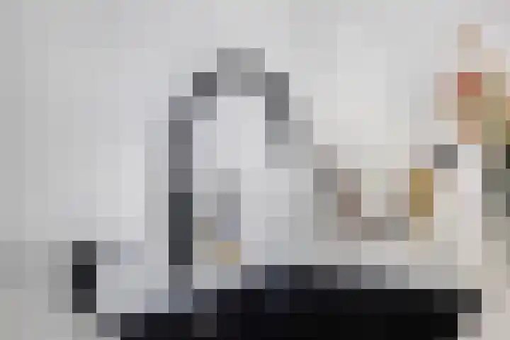 Vroegeling 14 Heemskerk thumbnail 22